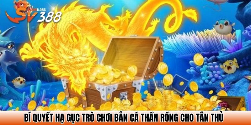 Bí quyết hạ gục trò chơi bắn cá thần rồng cho tân thủ