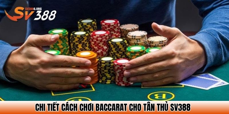 Chi tiết cách chơi Baccarat cho tân thủ SV388