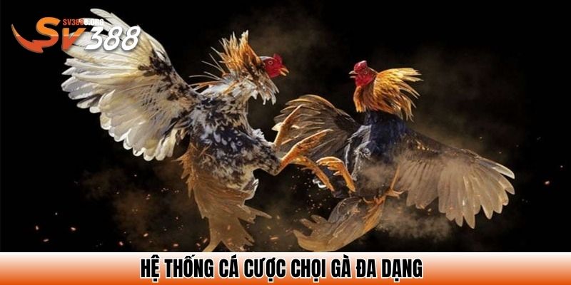 Hệ thống cá cược chọi gà đa dạng