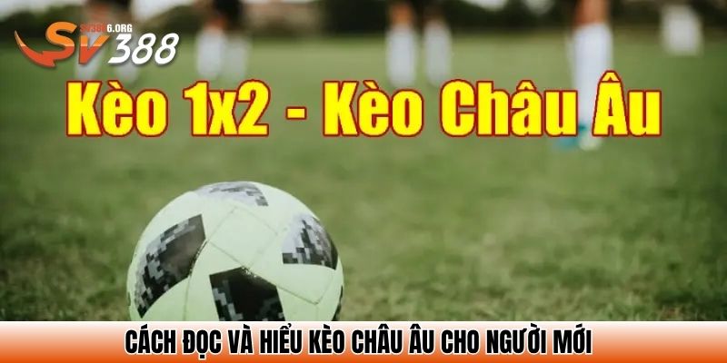 Cách đọc và hiểu kèo châu Âu cho người mới