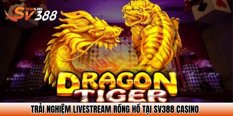 Trải nghiệm livestream Rồng hổ tại SV388 casino