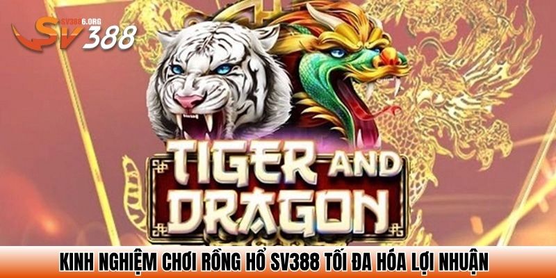 Kinh nghiệm chơi Rồng hổ SV388 tối đa hóa lợi nhuận