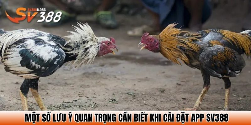 Một số lưu ý quan trọng cần biết khi cài đặt app SV388