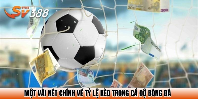 Một vài nét chính về tỷ lệ kèo trong cá độ bóng đá
